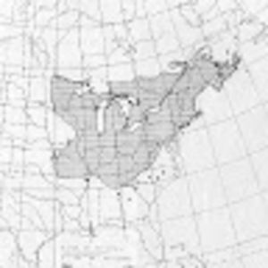 Meet your Posher, Nan